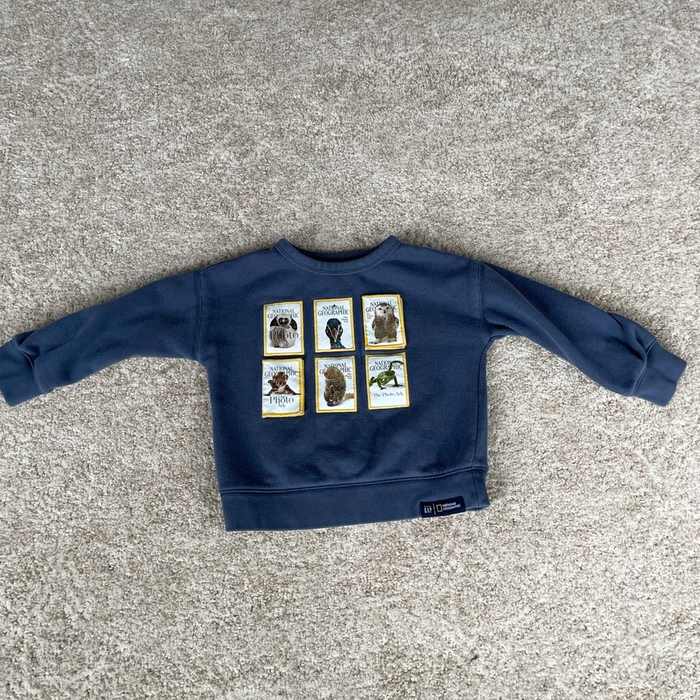 Gap Kids Sweatshirt 3T